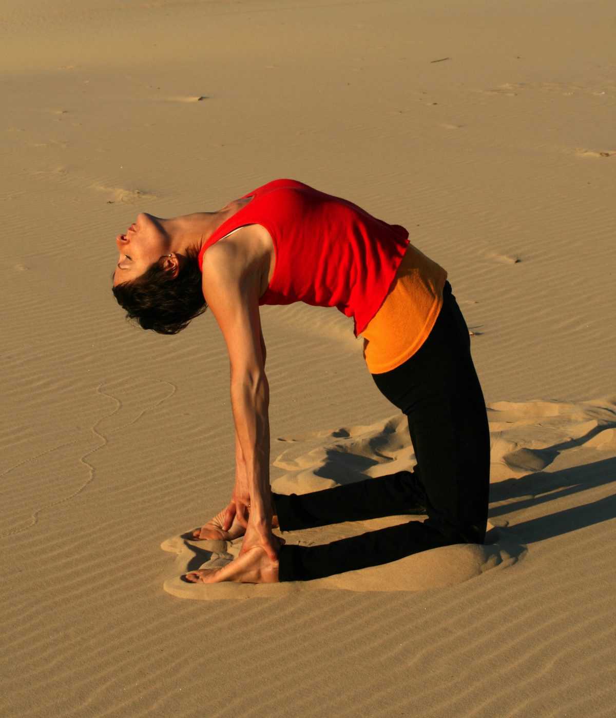 How and Why Does Yoga Work? Yoga Sphere